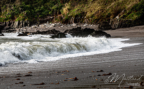 Portwrinkle