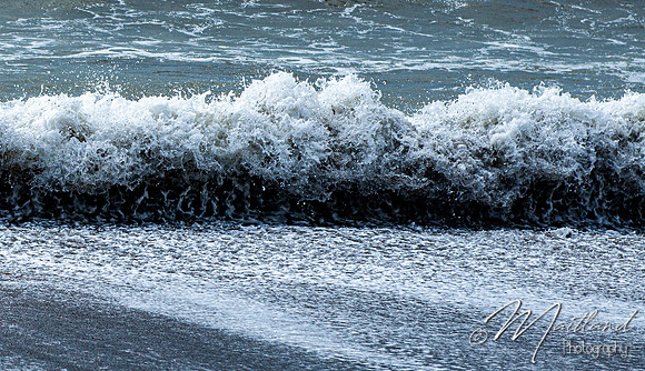 Portwrinkle