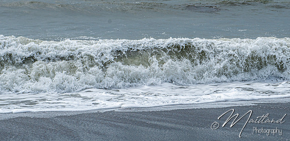 Portwrinkle