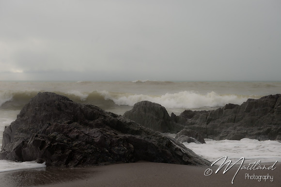 Portwrinkle