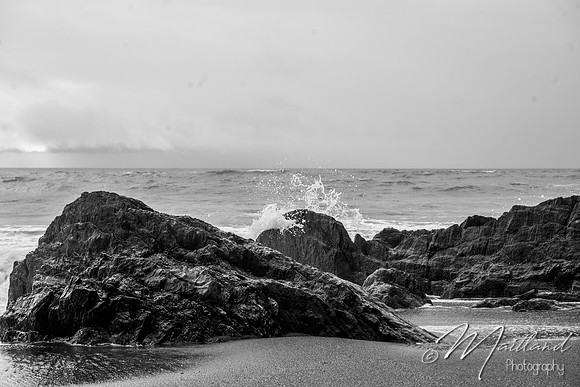Portwrinkle