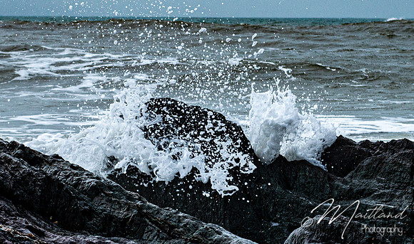 Portwrinkle