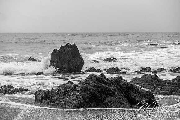 Portwrinkle