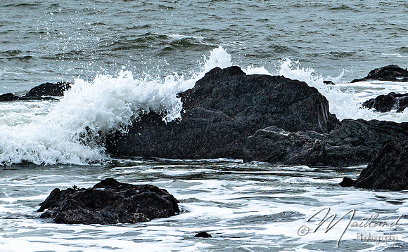 Portwrinkle