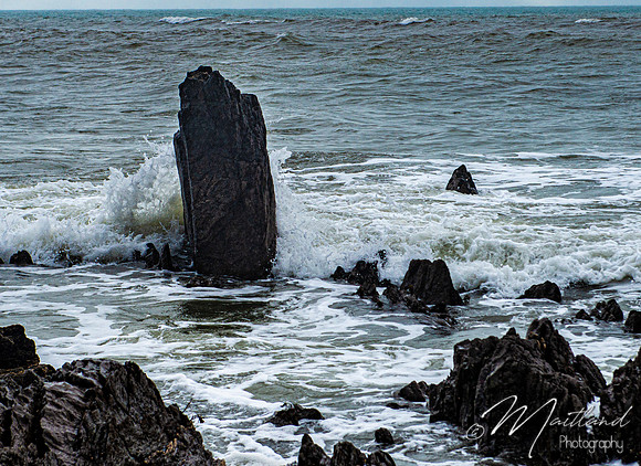 Portwrinkle