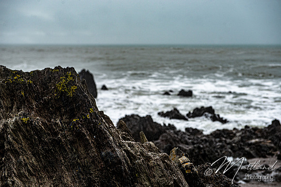 Portwrinkle
