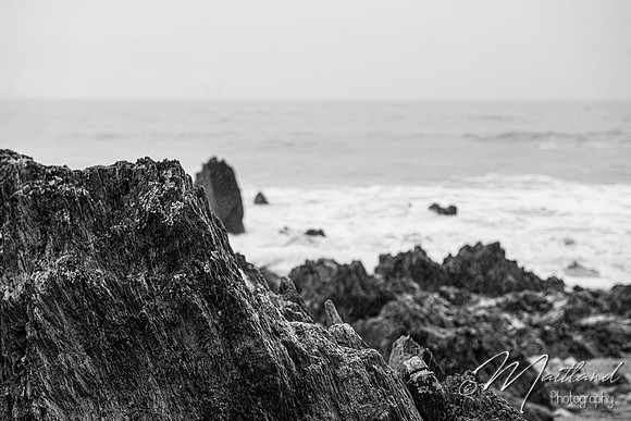 Portwrinkle